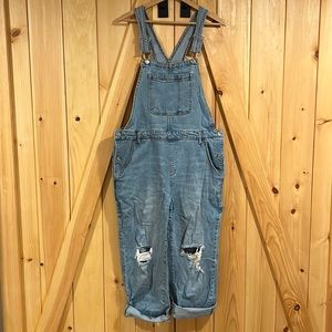 Wild fable overalls XL